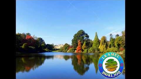 سورة آل عمران بصوت القارئ المغربي العيون الكوشي