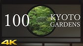 日本助力未来 全力支持残障运动 Youtube