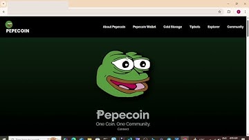 Crypto Scams That DRAIN Your Wallet (How To Avoid Them)