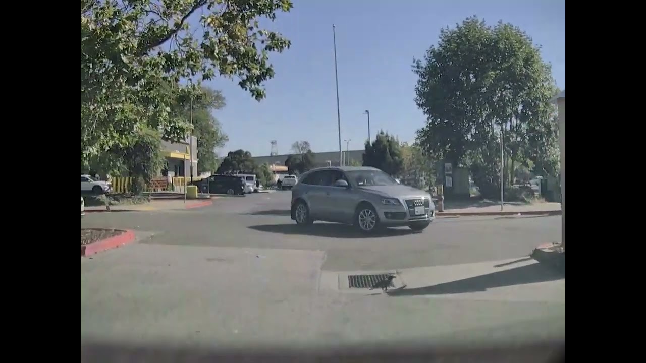 Tesla FSD Avoiding a Black Crow on a Parking Lot (Front Camera)