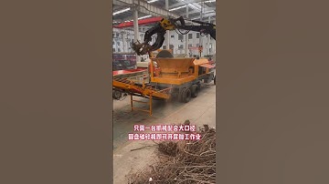 tub grinder heave duty tree root stump crusher with high capacity #recycling