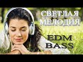 Dj Polkovnik - Светлая мелодия. Безумно красивая партия фортепиано и скрипки. EDM BASS, Instrumental