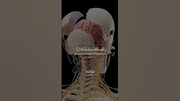 يا أيها الإنسان ما غرك بربك الكريم♥️🎧#راحة_نفسية#تلاوة_خاشعة#quran#معاذ_صيام#قرآن#تلاوة_هادئة