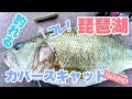 琵琶湖　釣れる！カバースキャット2.5インチ！！