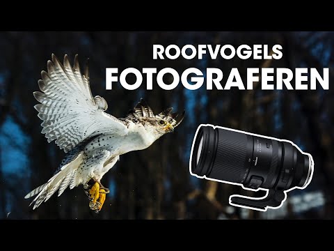 Tamron 150-500mm f/5-6.7 DI III VC VXD (Nikon Z) video