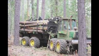 60 Second Forester- Emotions & Forests