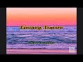 LIRIK LINTANG ASMORO - SHINTA ARSINTA FEAT ARYA GALIH 🎵🎧 | Lirik by circlechannel22