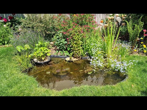 Pond Build - Blagdon Damselfly 1250 (part 2)