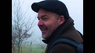 Download Lagu WANDEL MP3