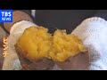 サツマイモが大ピンチ！「基腐病」の脅威【Nスタ】