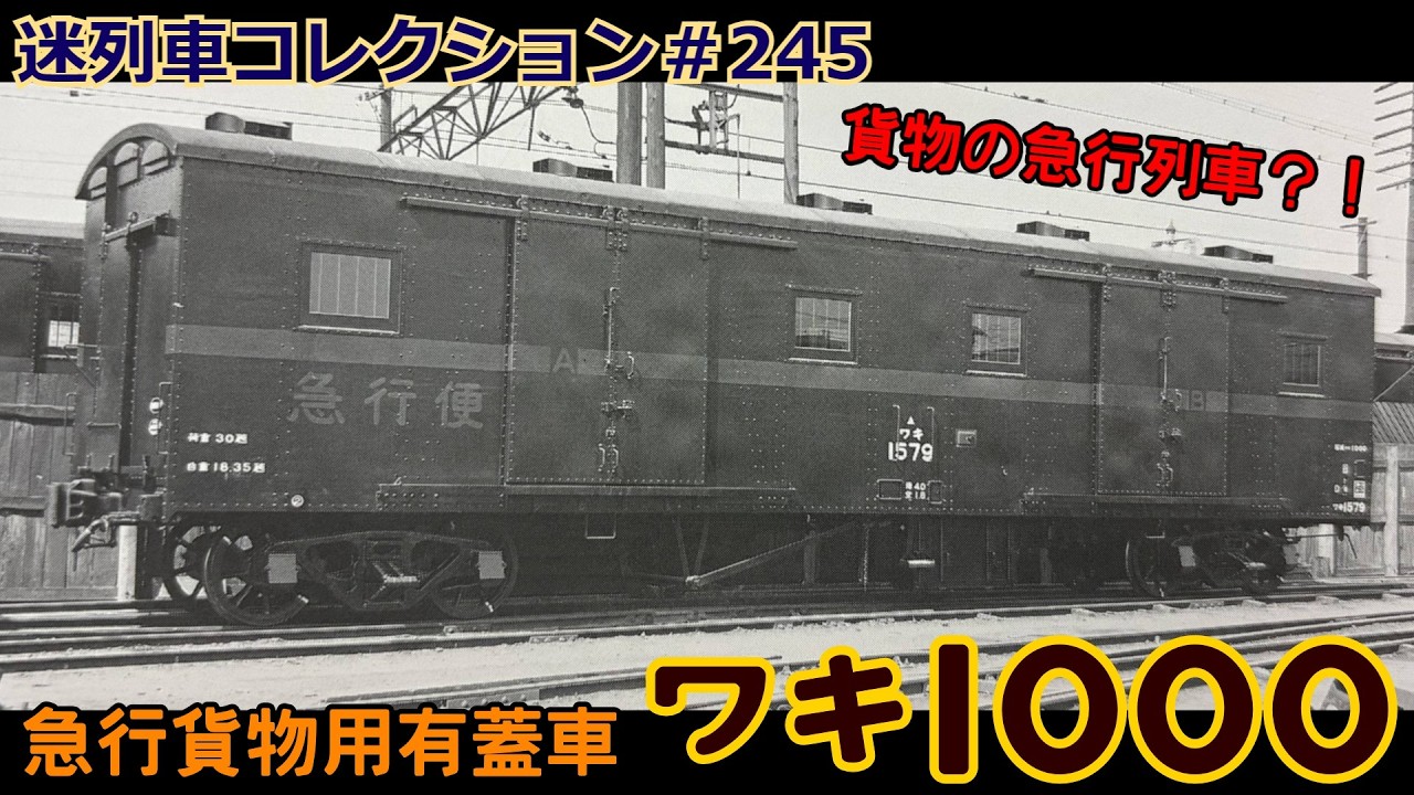 Mysterious Train Collection #245