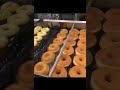 Rondo yeast donuts production line in China