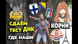 Тест ДНК на происхождение: Дима - японец, а я - викинг? Тест ДНК на происхождение: Дима - японец, а я - викинг?
