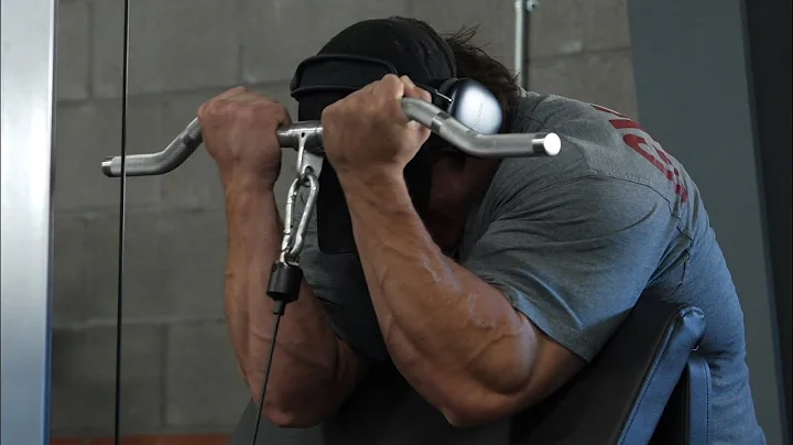 Cutzilla Day 26 - Arms Normal Camera