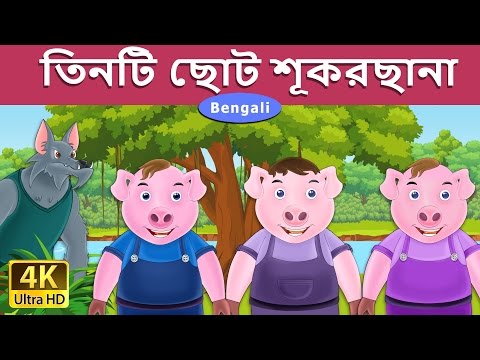 ভিডিও: কার্টুন তিনটি