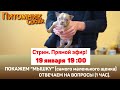 Показываем самого маленького щенка!! 1 час отвечаем на вопросы  | СТРИМ [19 января 19:00]