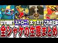 レイダースの全シャケ生態まとめ【レイダース】【ゆっくり解説】