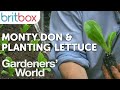 Monty Don Teaches You About Planting Lettuce | Gardeners' World