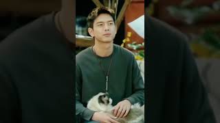 Li Xian with cats 😘#lixian #chinesedrama #lixianfan #chineseactor #meetyourself #gogosquid