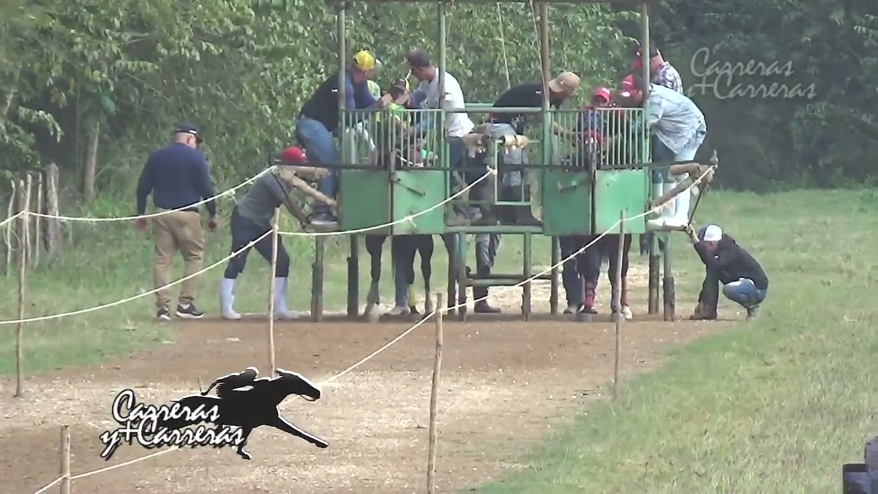 Carrera La Damaris VS El 3 mil 