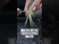 必見❗ 傷んでしまったエケベリアの救い方😁#多肉植物 #エケベリア #succulent