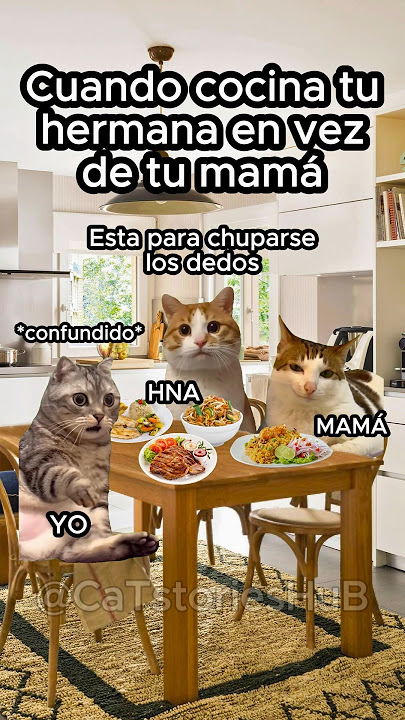 Cuando cocina tu hermana en vez de tu mamá #historiasdegatos #funnyvideo #gatosgraciosos #cats