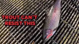 TROUT FISHING Quick tip