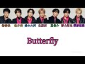 Butterfly / IMP.