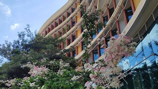 BMS College of Engineering Bangalore , BMS flash mob , BMS phase shift