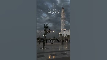 🤍🤍.#سورة_الزمر #محمد_اللحيدان #قرآن #قران_كريم #قرآن_كريم #اسلام #اسلاميات #مسلم #islam  #quran