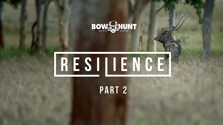 Resilience 2.0 I  BOWHUNTING DEER FILM | QUEENSLAND AUSTRALIA [Bowhunt Downunder]