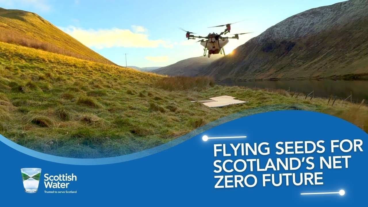 Летающие семена для достижения Шотландией нулевого уровня выбросов: инновация компании Scottish W...