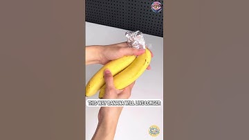 Foil Hacks Nobody Told You About 🤫