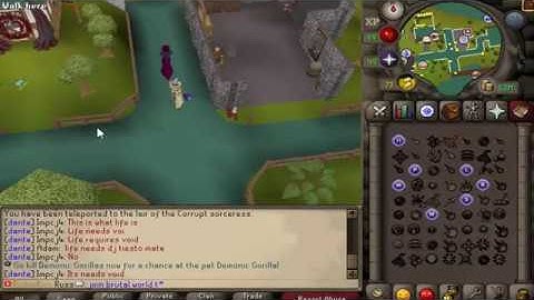 Brutal World Rsps | SHOWING OFF DONATOR ZONE FT CUSTOM BOSS! BRAND NEW RSPS 2017!