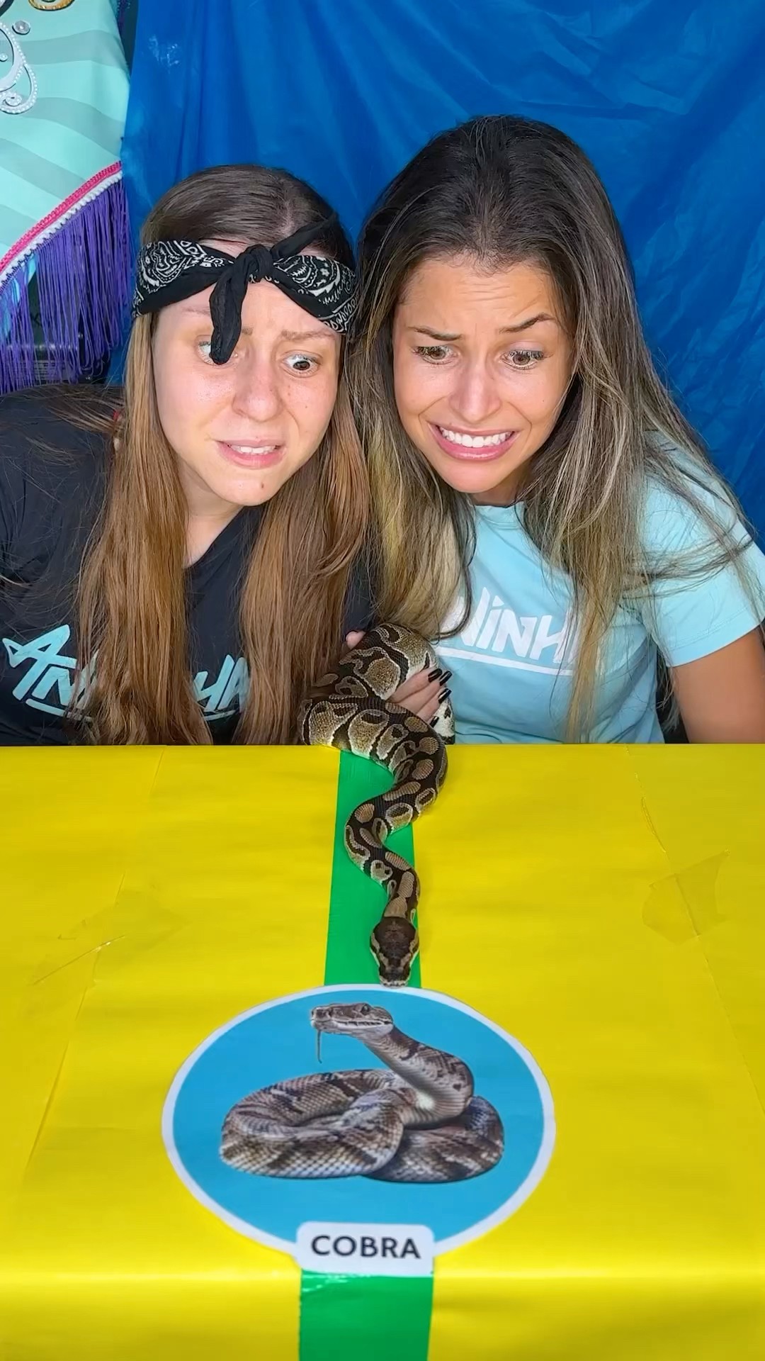 WHO WILL THE ANIMAL CHOOSE???