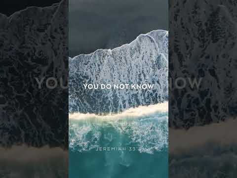 Daily Bible | Daily Bible Verse | Scripture | Life Media Networks | #motivation