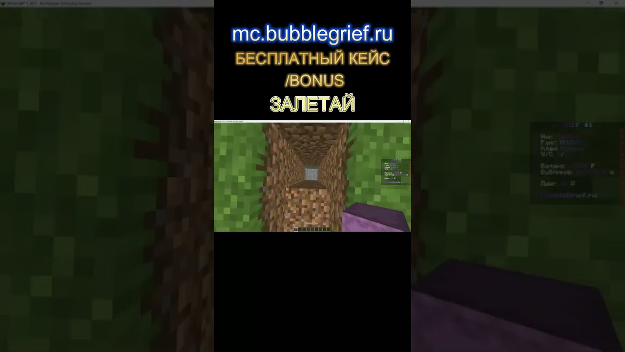 mc.bubblegrief.ru ReallyWorld 