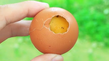 8 Món Ngon Được Làm Từ Trứng - TVTT Official.