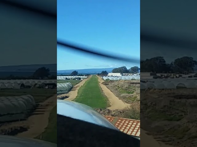 C182 Landing Monterey Bay Academy #aviation #cessna #grassstrip
