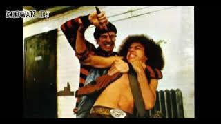 story wa the warriors