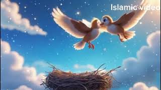 🕊✨ The Bird Who Trusted Allah