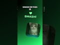 smash or pass