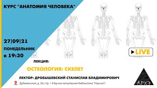 Лекция С.В. Дробышевского "Остеология: скелет" курса "Анатомия человека"