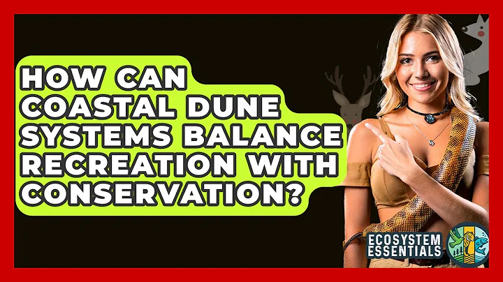 How Can Coastal Dune Systems Balance Recreation With Conservation? - Ecosystem Essentials
