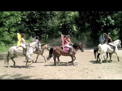 Fte du DEM: Carrousel Dressage