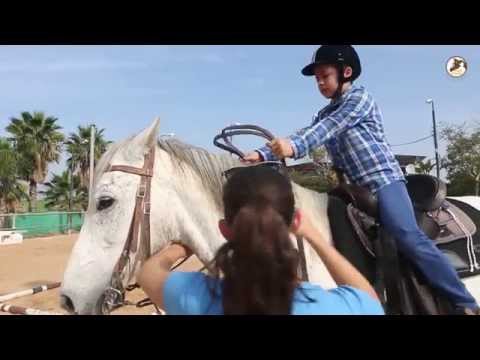 וִידֵאוֹ: רוכב היכה ילדה במרכז מוסקבה במהלך סכסוך על תשלום עבור נסיעה בסוס