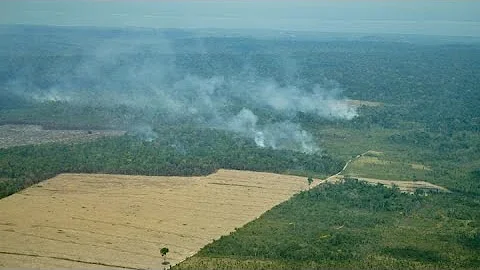 Tracking Amazon Deforestation