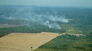 Tracking Amazon Deforestation
