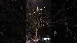 Şk Örelim Ğmur Ğmurlar Ürüyüş Şfet