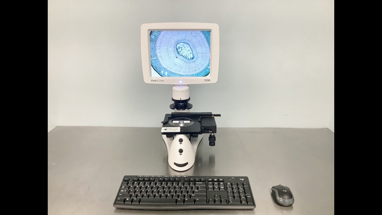 Thermo EVOS XL Core Imaging Microscope ID 28633 - YouTube